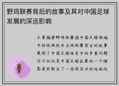 野鸡联赛背后的故事及其对中国足球发展的深远影响