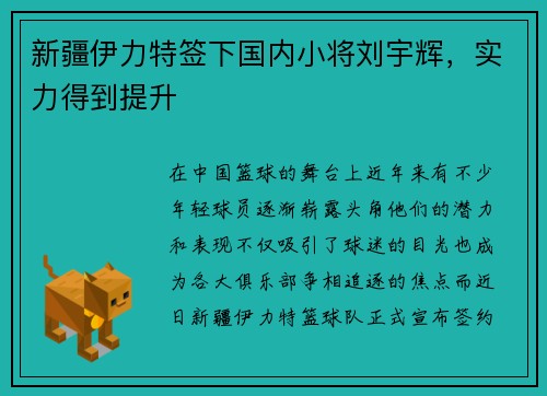 新疆伊力特签下国内小将刘宇辉，实力得到提升