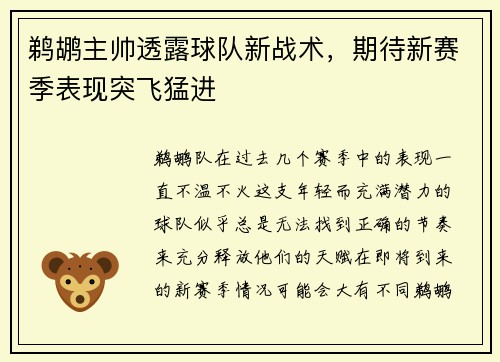 鹈鹕主帅透露球队新战术，期待新赛季表现突飞猛进